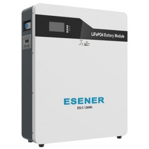 Esener 5.12kwh 51.2v 100Ah LiFePO4 Battery